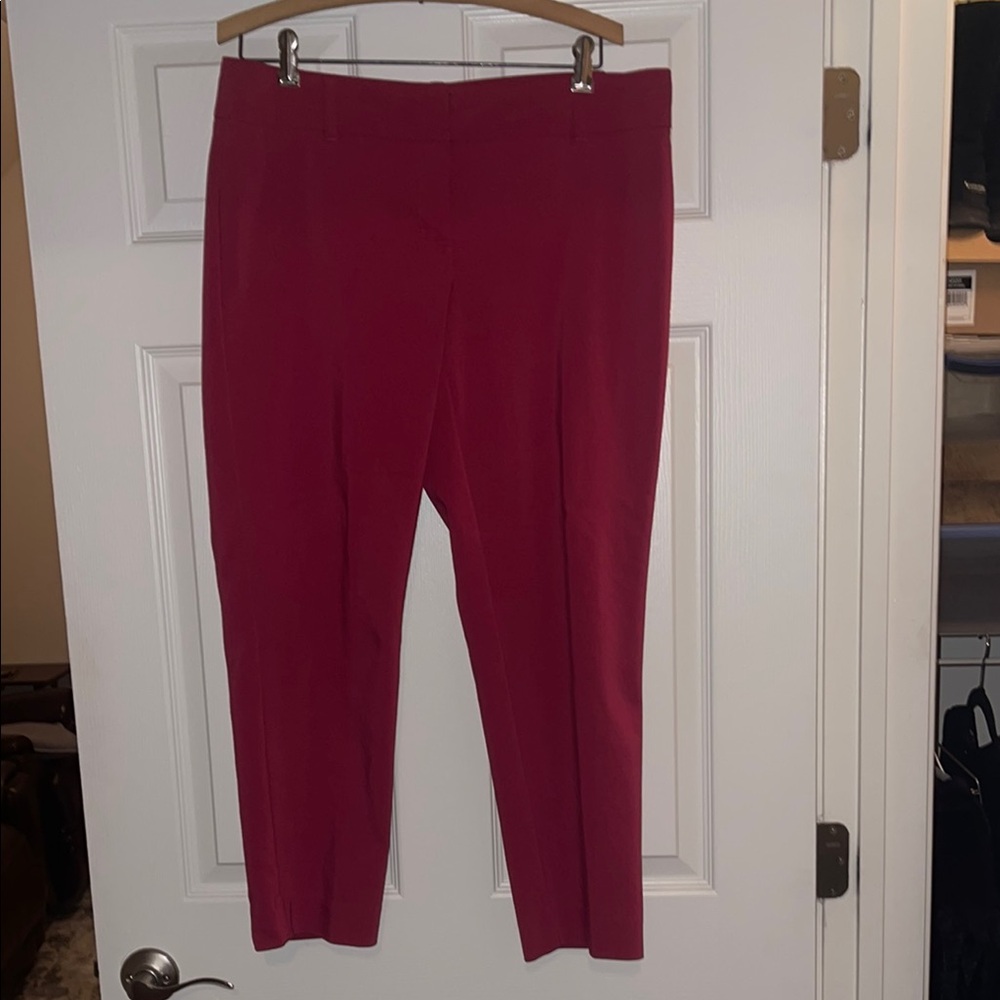 WHBM Women's Fuchsia pink pants